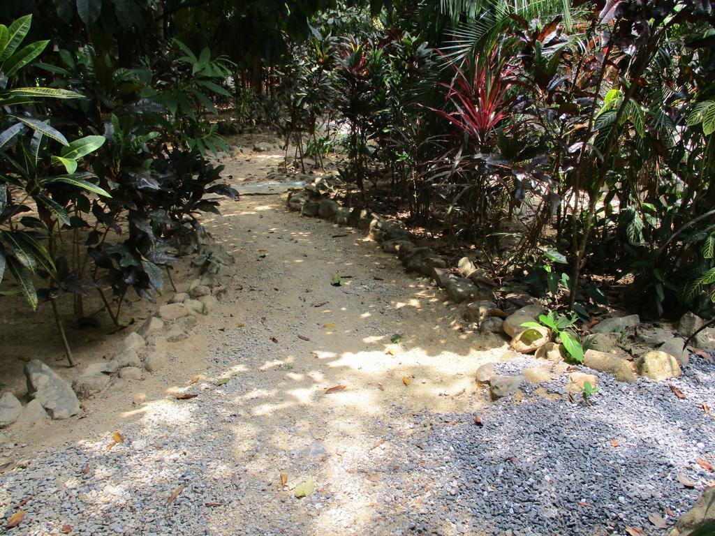Khaosok Island Resort Khao Sok National Park Buitenkant foto