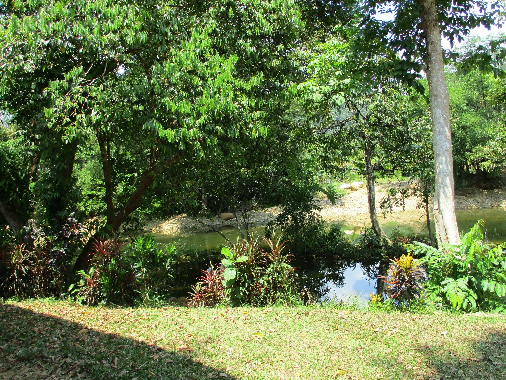 Khaosok Island Resort Khao Sok National Park Buitenkant foto