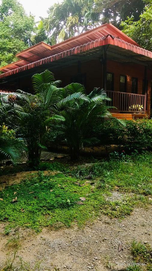 Khaosok Island Resort Khao Sok National Park Buitenkant foto